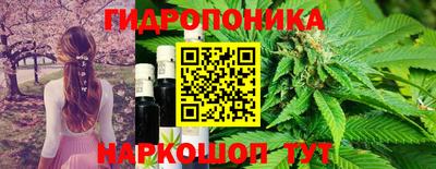 гидра Гусь-Хрустальный