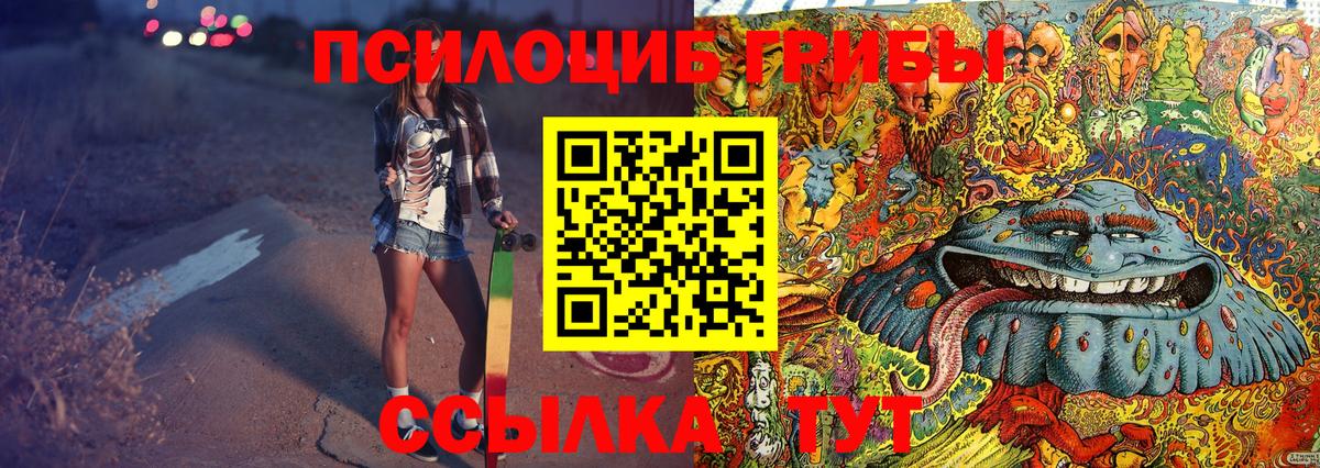 Псилоцибиновые грибы Psilocybe Сосновоборск