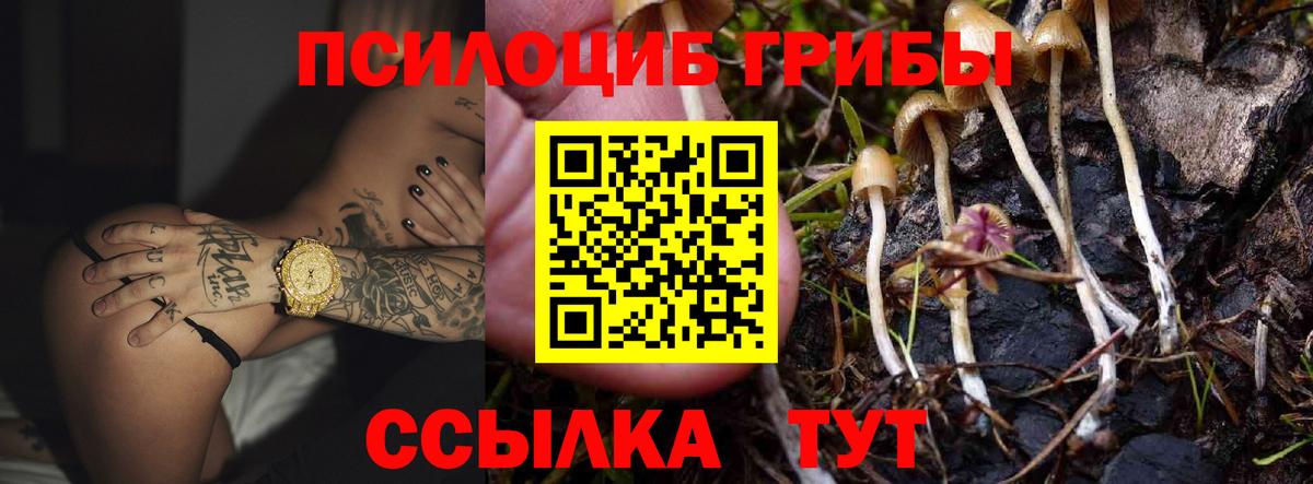 Галлюциногенные грибы GOLDEN TEACHER  Вход с VPN  Сосновоборск 